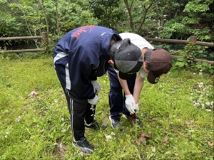森づくり (1)